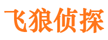 连城侦探公司